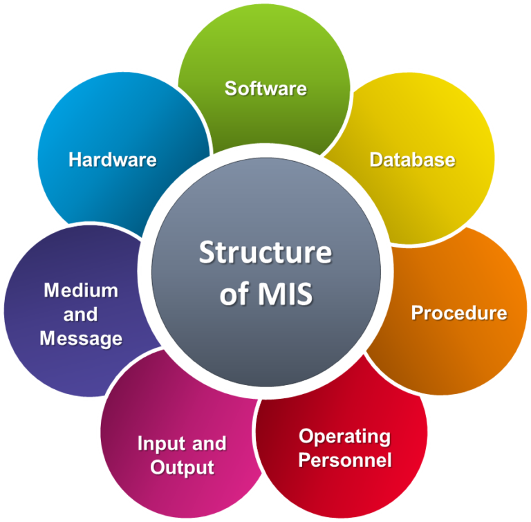 Best MIS Solutions Management Software Development Company Delhi