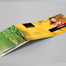 Brochures – 10
